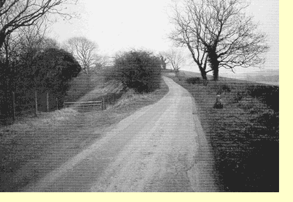 King Charles Stone - Seven Leaze Lane