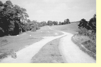 The old road to Birdlip across the Beacon facing south